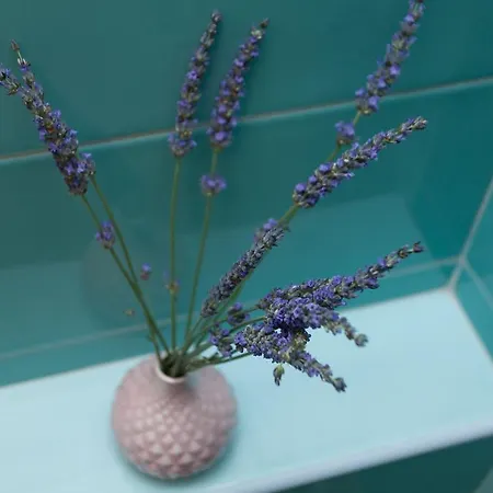 招待所 And Hey 4*